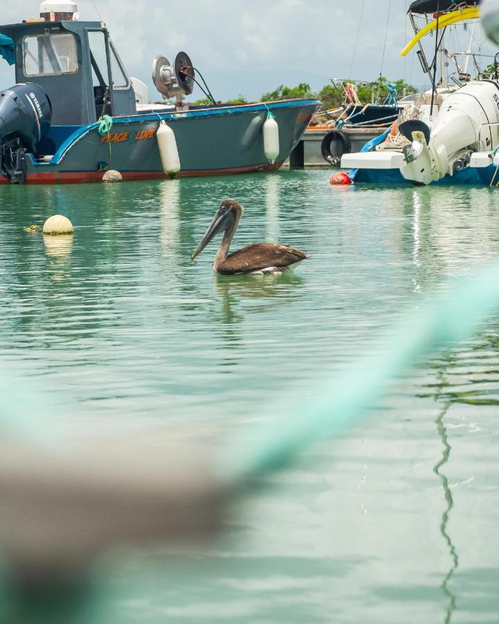 Evasion En Plein Coeur De La Ville T2 Jacuzzis Sauna Et Piscine Au Centre De Port-Louis Esterno foto